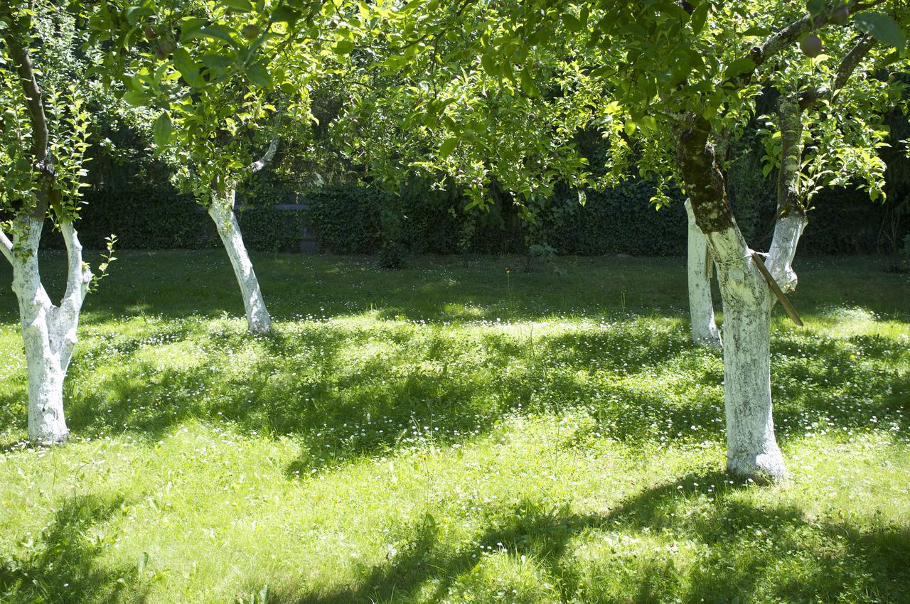 Cottage Du Manoir De Tregaray Sixt-sur-Aff Eksteriør billede